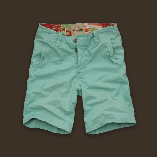 Hollister Homme 6136 Loisir Court bleu