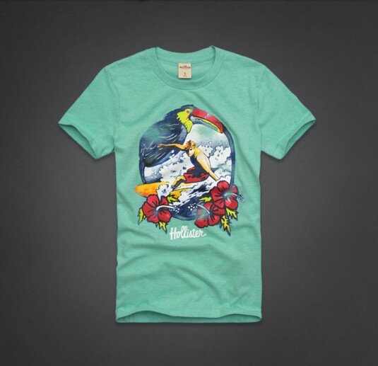 Hollister Homme 5751 T-Shirts vêtements
