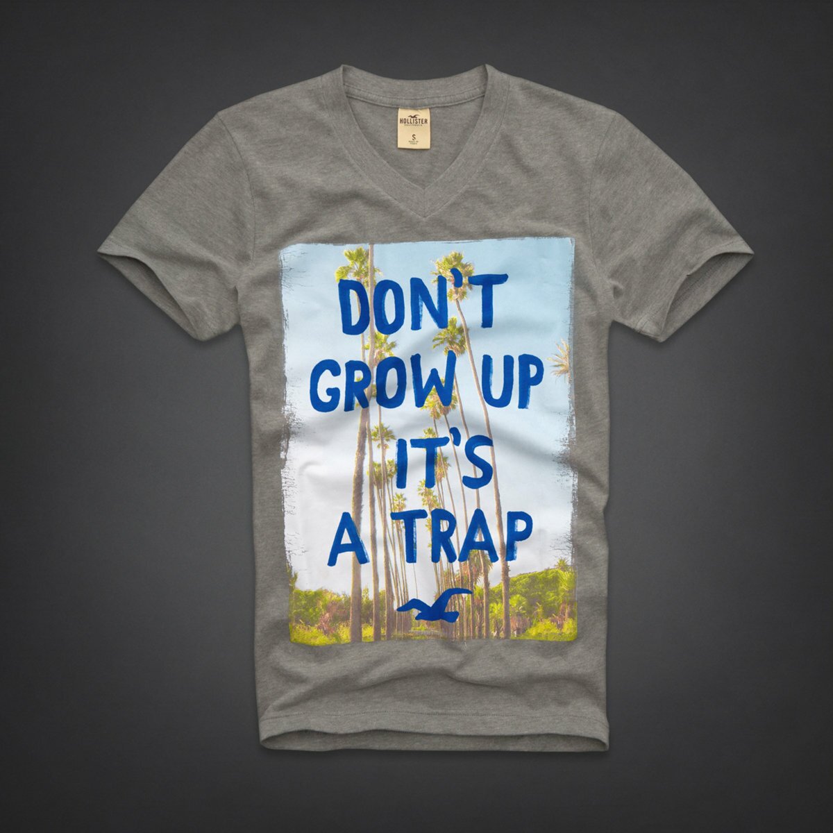 Hollister Homme 5761 T-Shirts vêtements