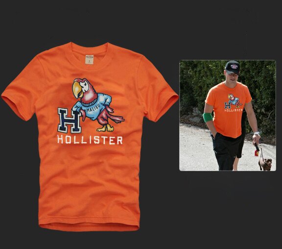 Hollister Homme 5848 T-Shirts vêtements