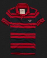 Hollister Homme 6084 Polos à Londres