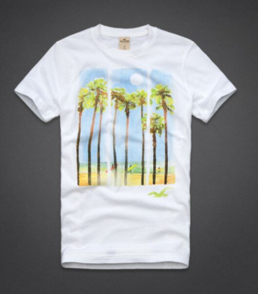 Hollister Homme 5882 T-Shirts boutique
