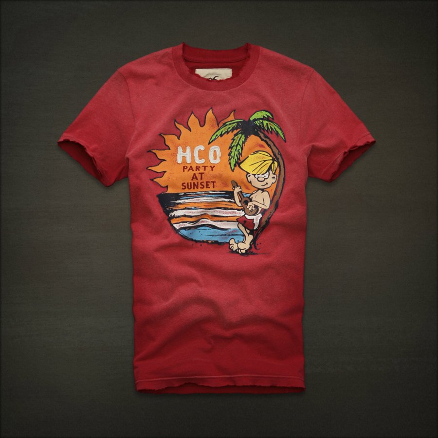 Hollister Homme 5897 T-Shirts boutique