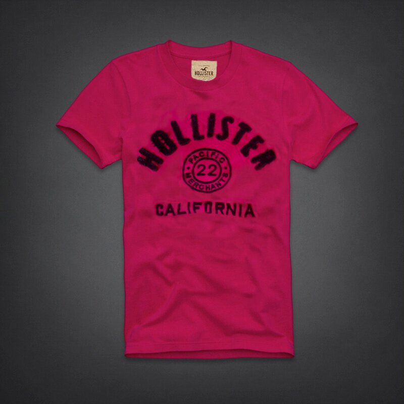 Hollister Homme 5934 T-Shirts boutique
