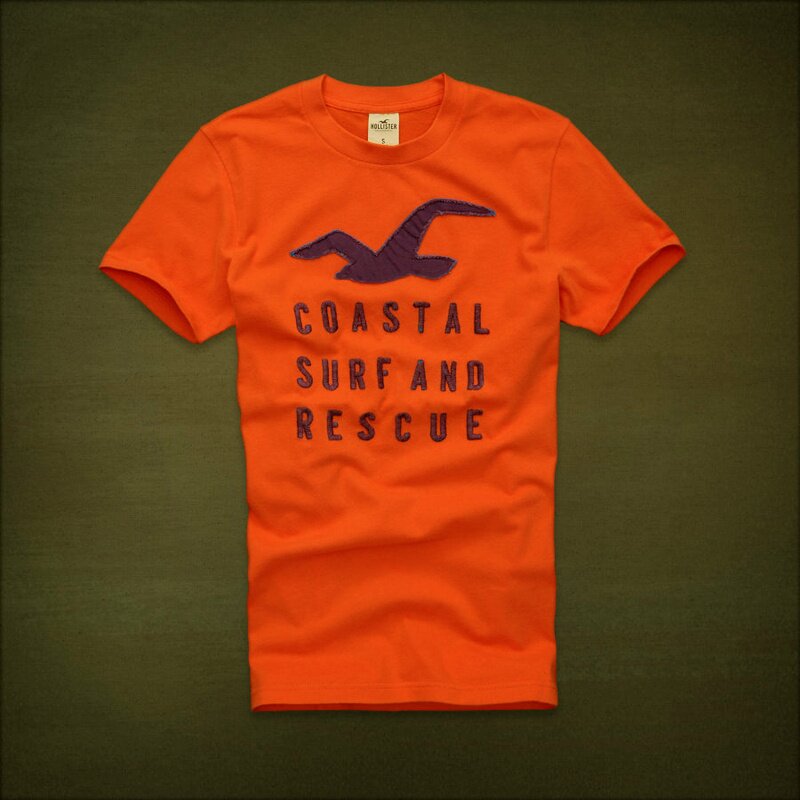 Hollister Homme 5980 T-Shirts boutique