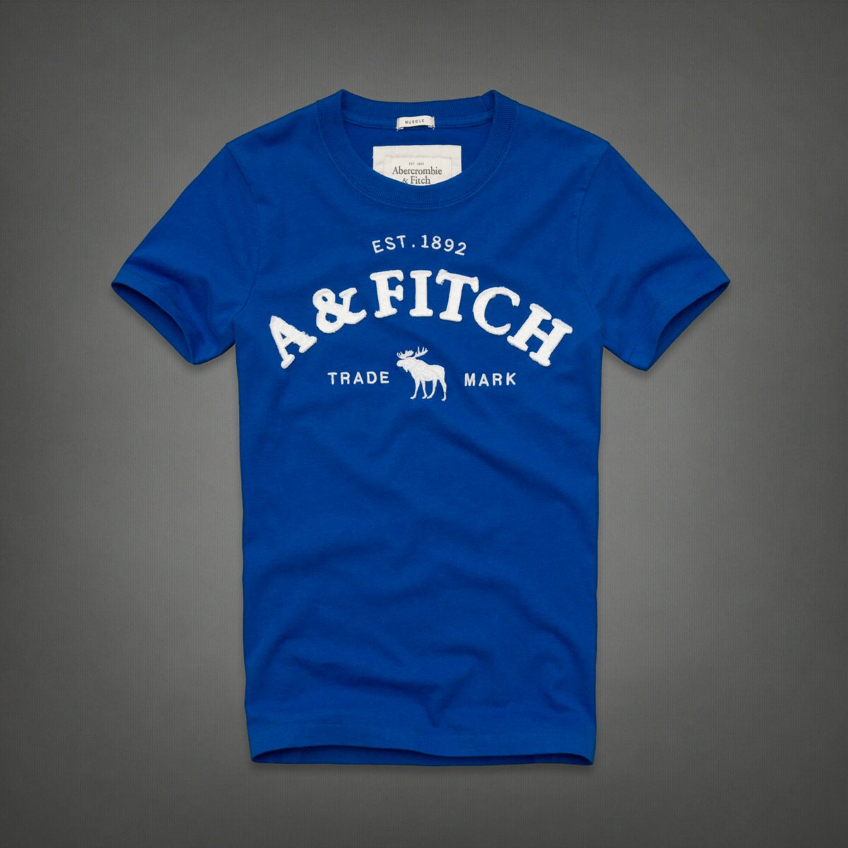 Abercrombie & Fitch Homme 3953 T-Shirts