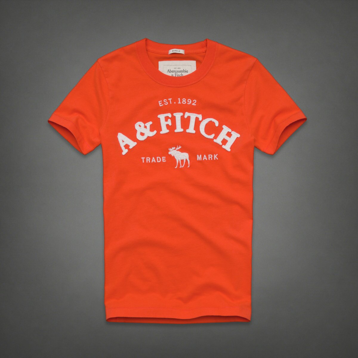 Abercrombie & Fitch Homme 3954 T-Shirts
