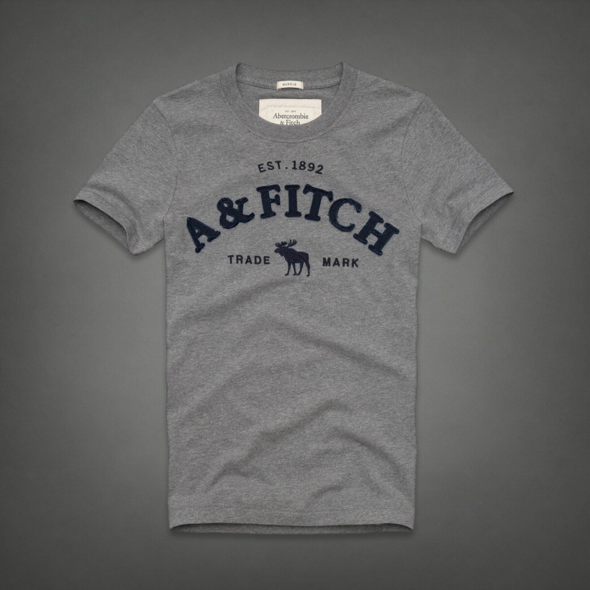 Abercrombie & Fitch Homme 3955 T-Shirts