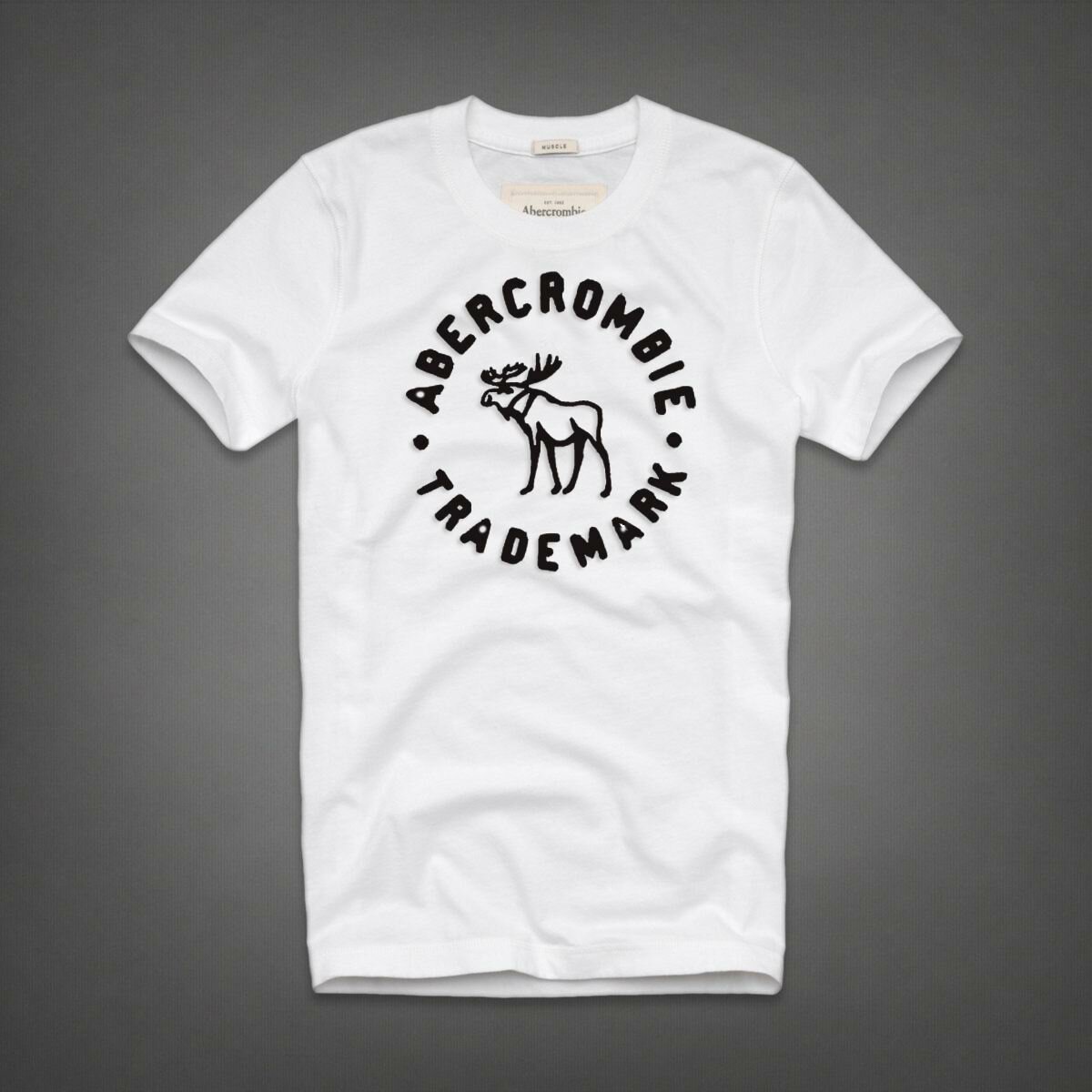Abercrombie & Fitch Homme 3998 T-Shirts