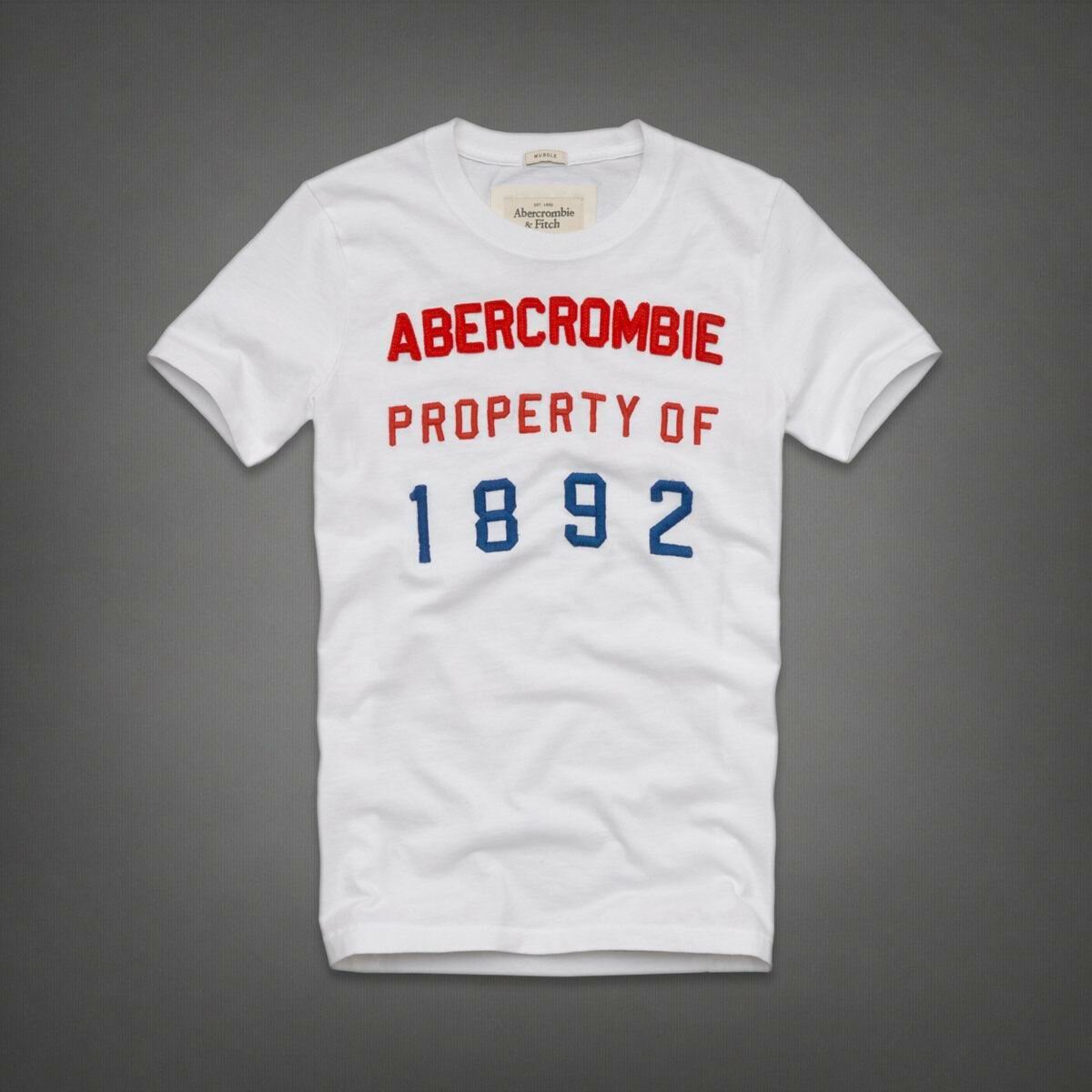 Abercrombie & Fitch Homme 4039 T-Shirts