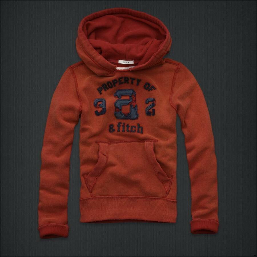 Abercrombie & Fitch Homme 2106 Sweats à capuchon mode