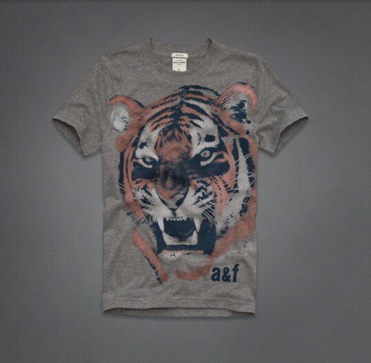 Abercrombie Fitch Homme 3863 T-Shirts vêtements