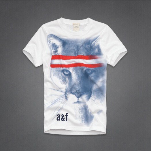 Abercrombie Fitch Homme 3874 T-Shirts vêtements