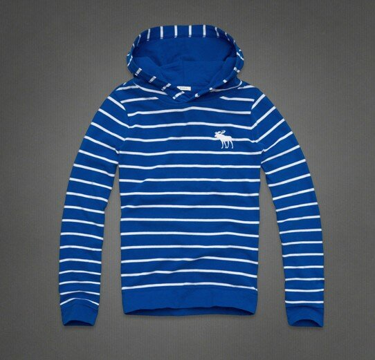 Abercrombie & Fitch Homme 2191 Sweats à capuchon mode
