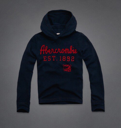 Abercrombie & Fitch Homme 2196 Sweats à capuchon mode