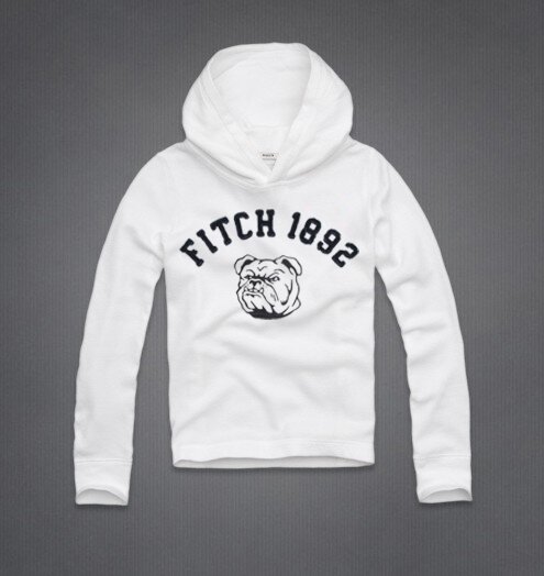 Abercrombie & Fitch Homme 2199 Sweats à capuchon mode