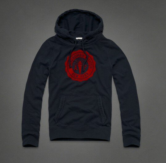 Abercrombie & Fitch Homme 2209 Sweats à capuchon mode