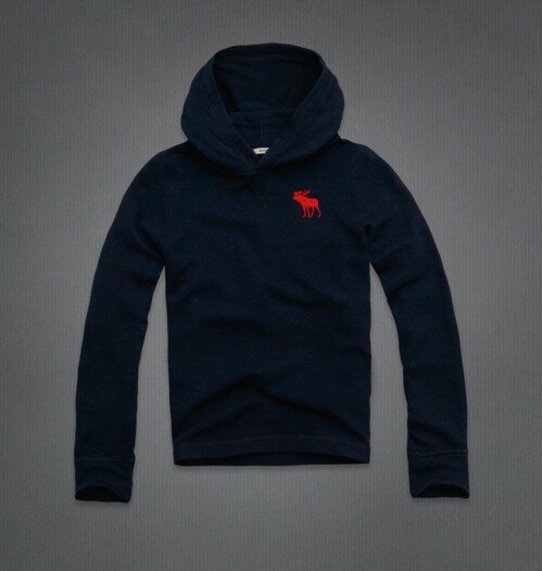 Abercrombie & Fitch Homme 2223 Sweats à capuchon mode