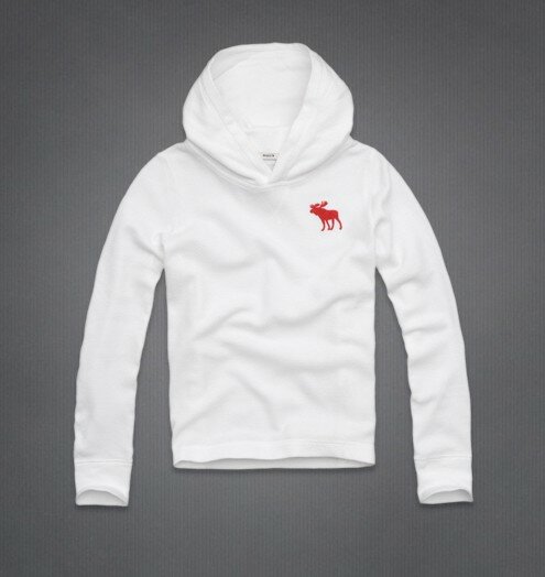 Abercrombie & Fitch Homme 2225 Sweats à capuchon mode